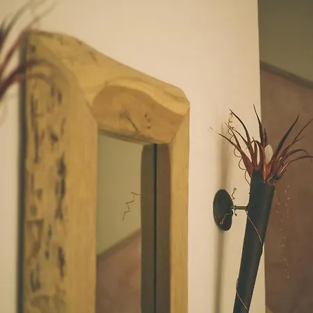 Villa-senta-apartment-11 Apartman